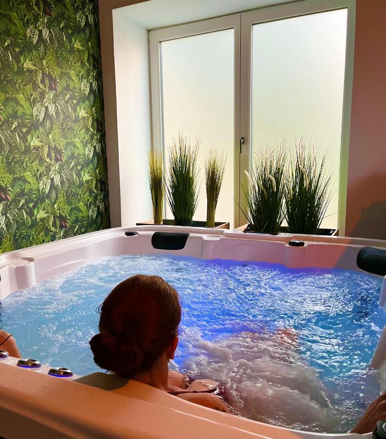 Le Manoir Des Haies Spa Les Champs-Geraux Екстер'єр фото